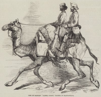 Uno dei corpi di cammelli di Barras, sollevato a Rajpootana da Harrison William Weir
